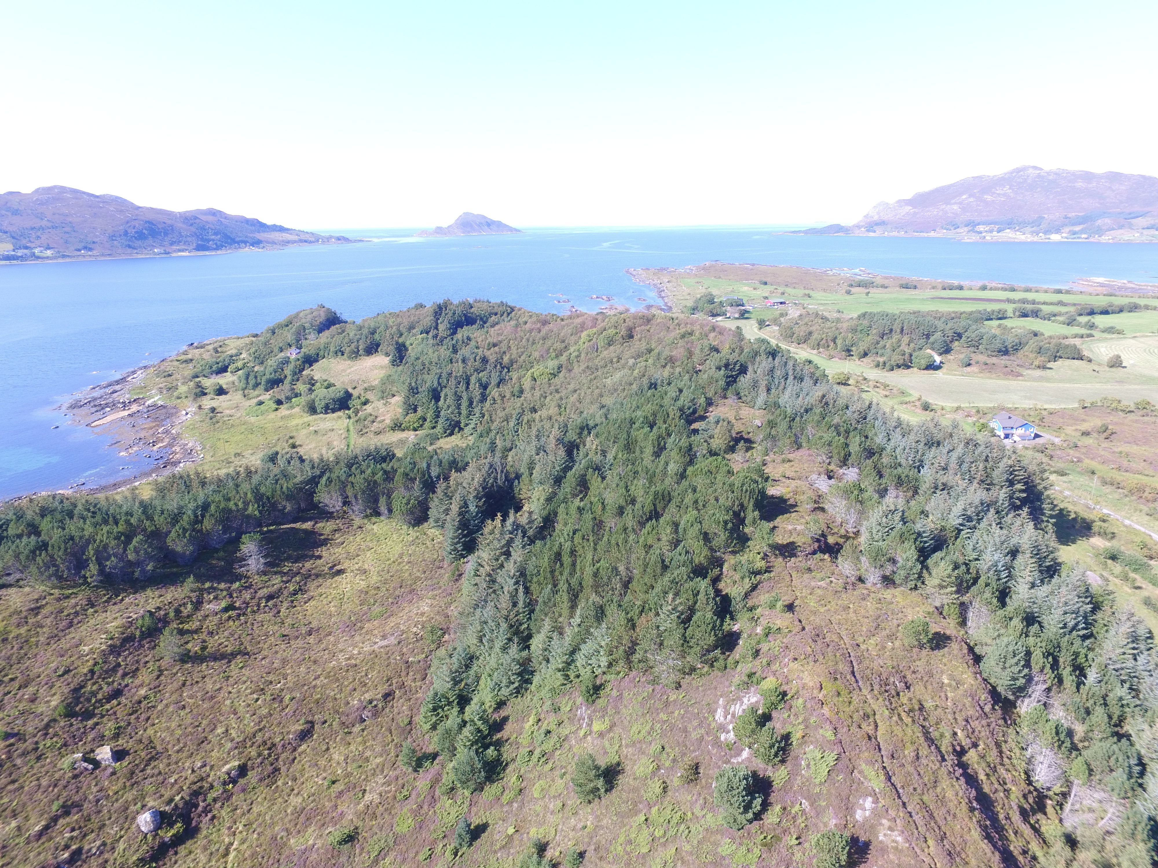 DJI_0027.JPG