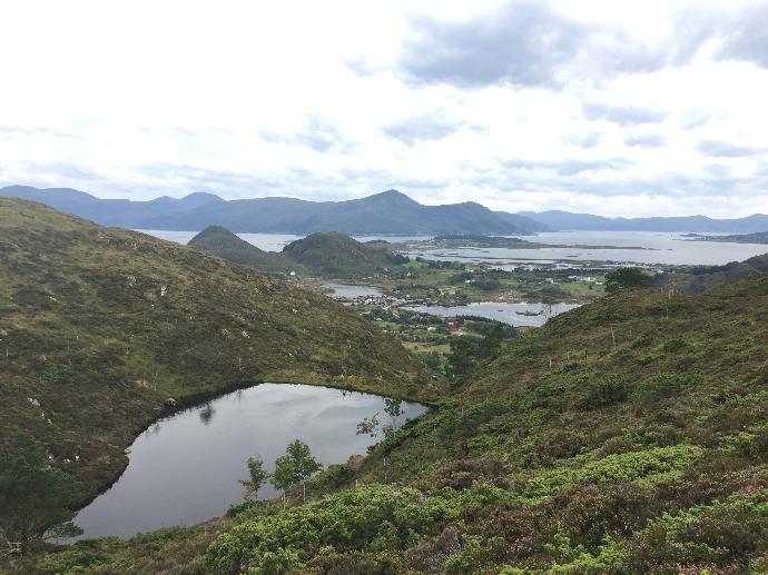 IMG_3518.JPG